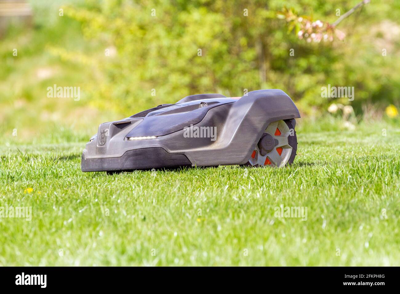Automatischer Rasenmäher von Husqvarna Roboterroboter im Einsatz in einem Englischer Landgarten Mähen und Schneiden einer Rasenfläche Stockfoto