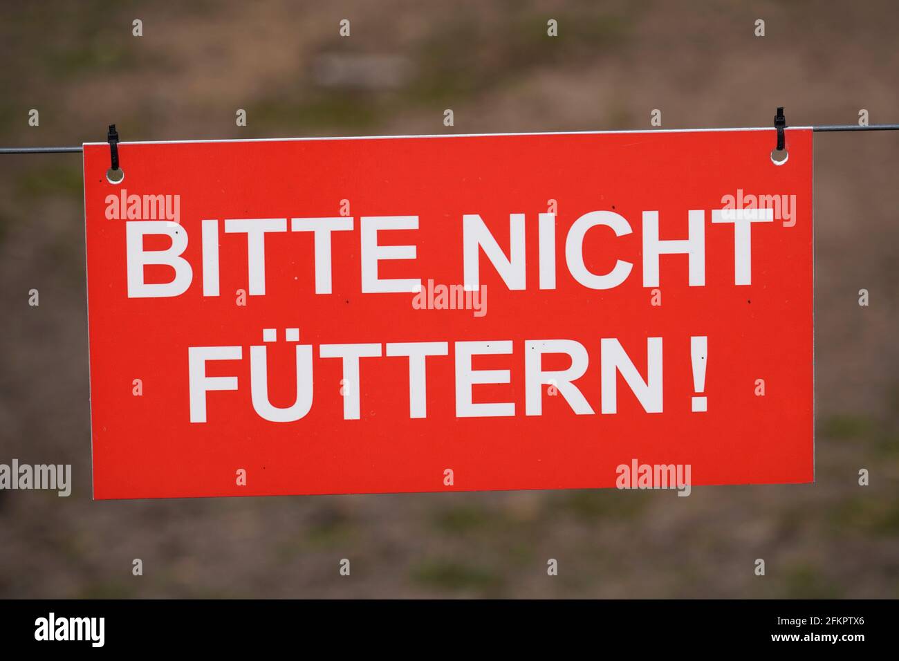 Roter Schild mit weißen Buchstaben. Bitte nicht füttern. Anweisung zum Verbot der Fütterung von Tieren. Stockfoto