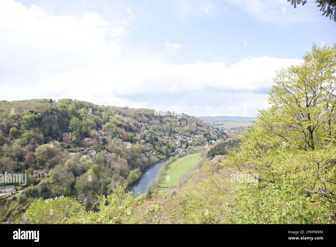 Wald von Dean Landschaft aus der Sicht Stockfoto