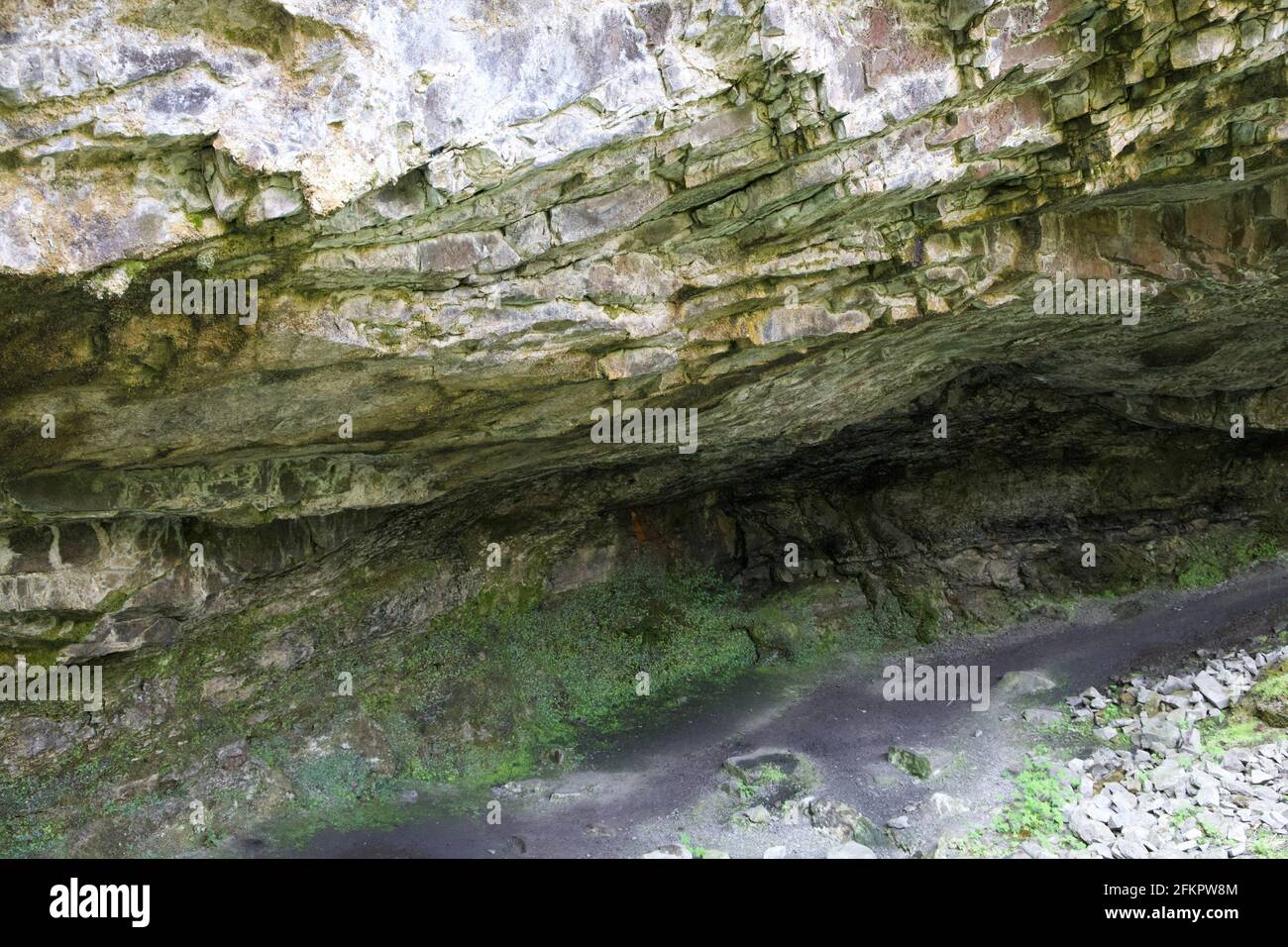 Moosiger Schieferüberhang in Wales Stockfoto