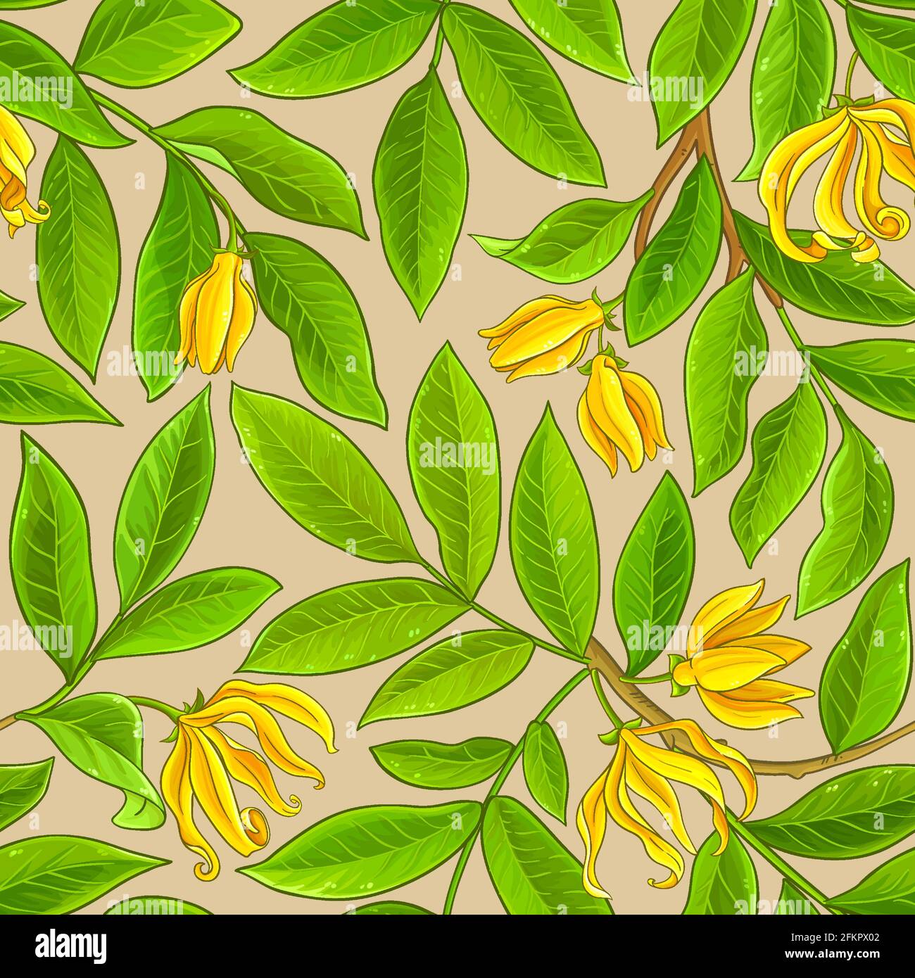 Ylang Ylang-Muster auf farbigem Hintergrund Stock Vektor