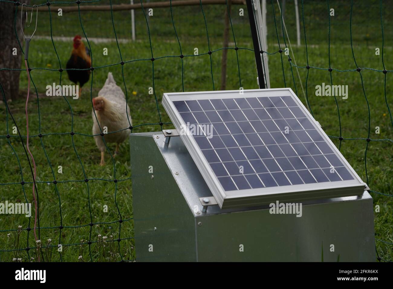 Elektrischer Zaun mit Solarpanel aus nächster Nähe. Der Zaun umgibt Geflügelfarm mit Freilandhaltung für Hühner. Stockfoto