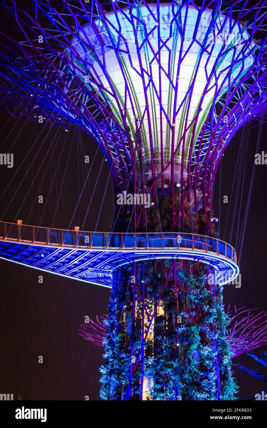 Marina Bay, Singapur - 01. Januar 2015: Nahaufnahme eines der Supertrees in den Gardens by the Bay, in Singapur. Stockfoto