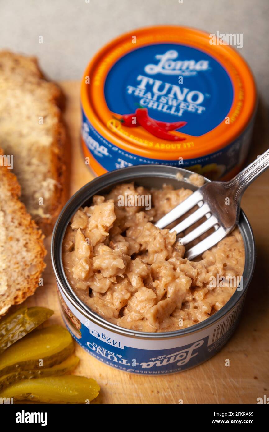 Nahaufnahme der Dose des veganen Tunfisch. Stockfoto