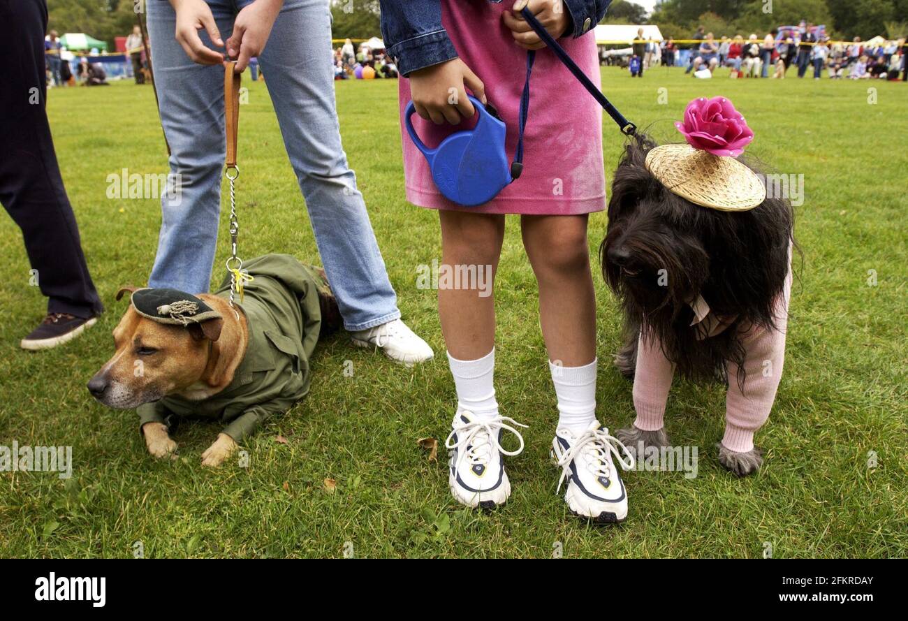 Hunde bei der jährlichen Wiedervereinigung des Battersea Dogs Home Besitzer im Battersea Park today,15. September 2002 Foto Andy Paradise Stockfoto