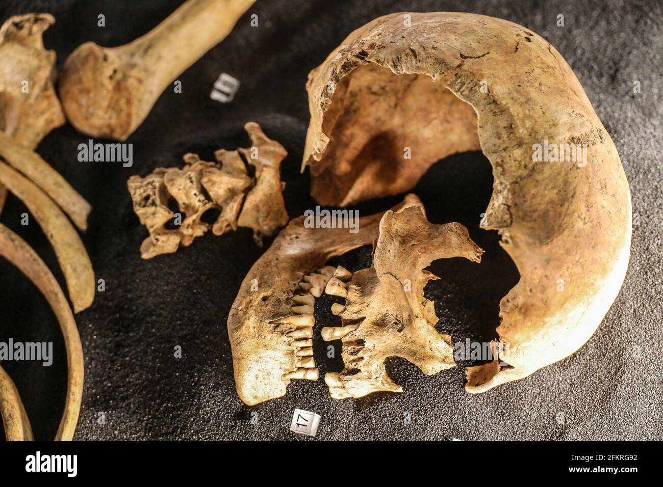 Napoli, ITALIEN. Mai 2020. 03/05/2021 Napoli, aperta al pubblico la tanto attesa mostra su i Gladiatori al Museo Archeologico Nazionale di Napoli Credit: Fabio Sasso/ZUMA Wire/Alamy Live News Stockfoto