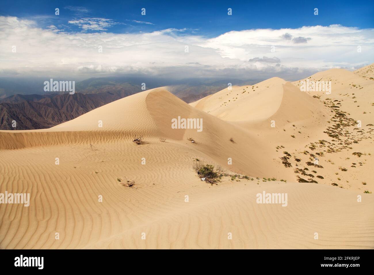 Cerro Blanco Sanddüne, die höchsten Dünen der Welt in der Nähe von Nasca oder Nazca Stadt in Peru Stockfoto