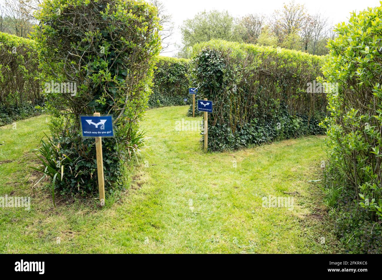 Gartenlabyrinth mit Richtungsschildern und Hecken in der Landschaft von Devon Stockfoto