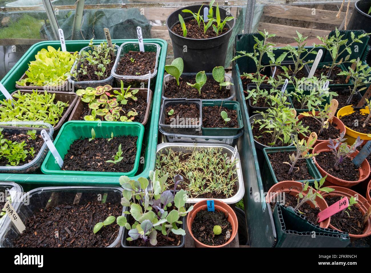 Eine Vielzahl An Oder Von www.alamy.de