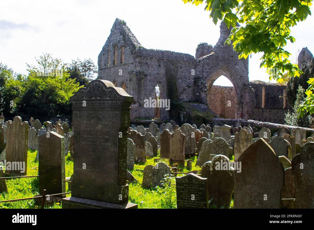 Ein Blick von hinten auf die Ruinen des historischen Klosters Greyabbey aus dem 13. Jahrhundert. Gesehen in seiner Umgebung mit dem alten Friedhof Stockfoto