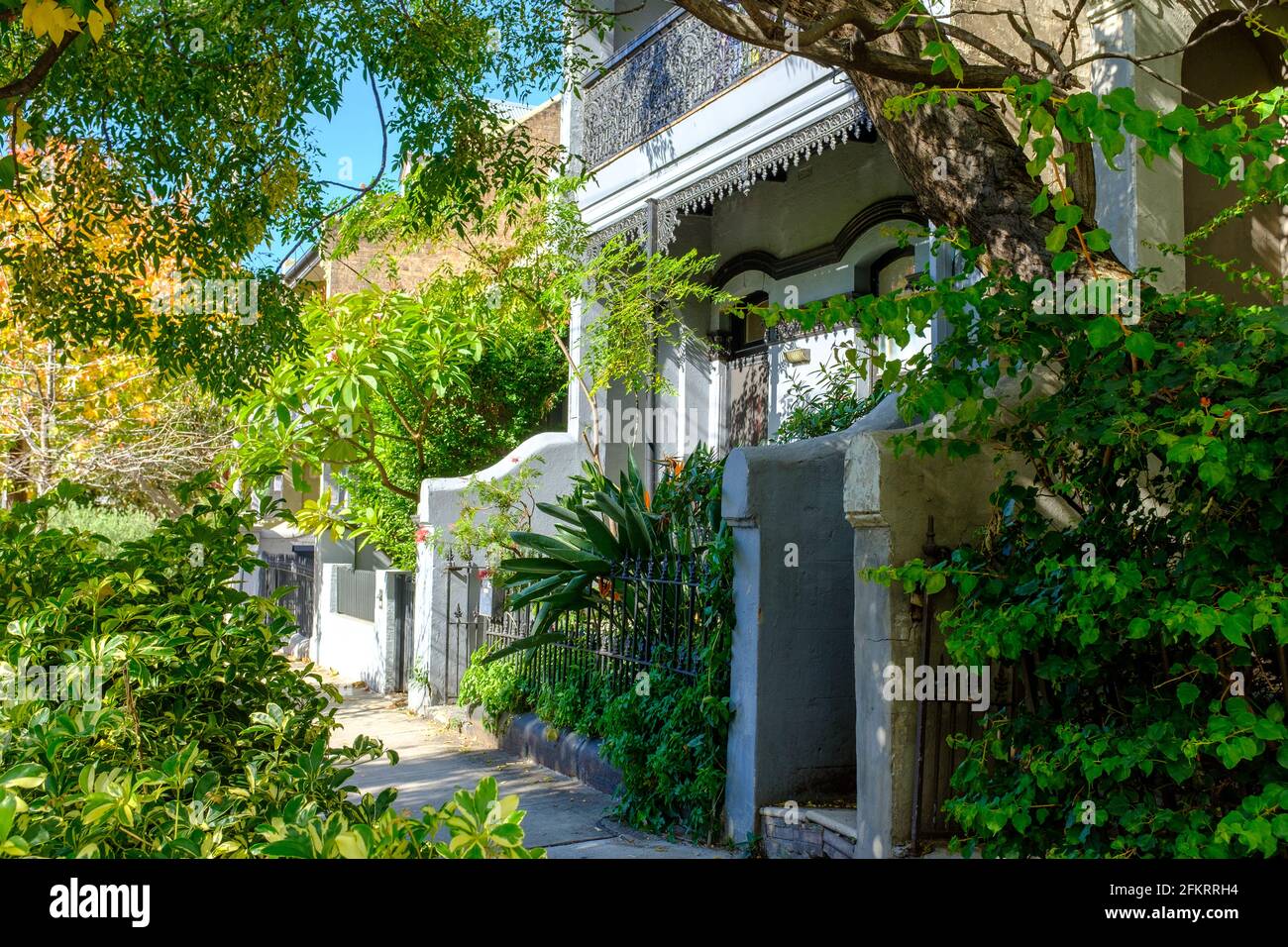 Haus im Federation-Stil im Schatten von Pflanzen, Redfern Sydney, Australien. Gentrifizierung und Nutzung von Pflanzen zur Kühlung von Straßen in der Stadt. Stockfoto