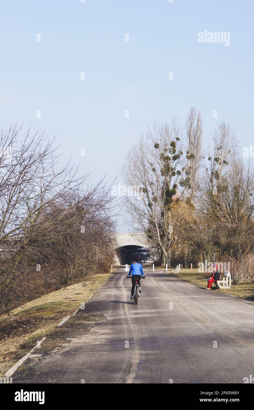 POZNAN, POLEN - 19. Feb 2017: Fußweg mit blattlosen Bäumen und einem Viadukt in der Ferne an einem kalten Wintertag Stockfoto