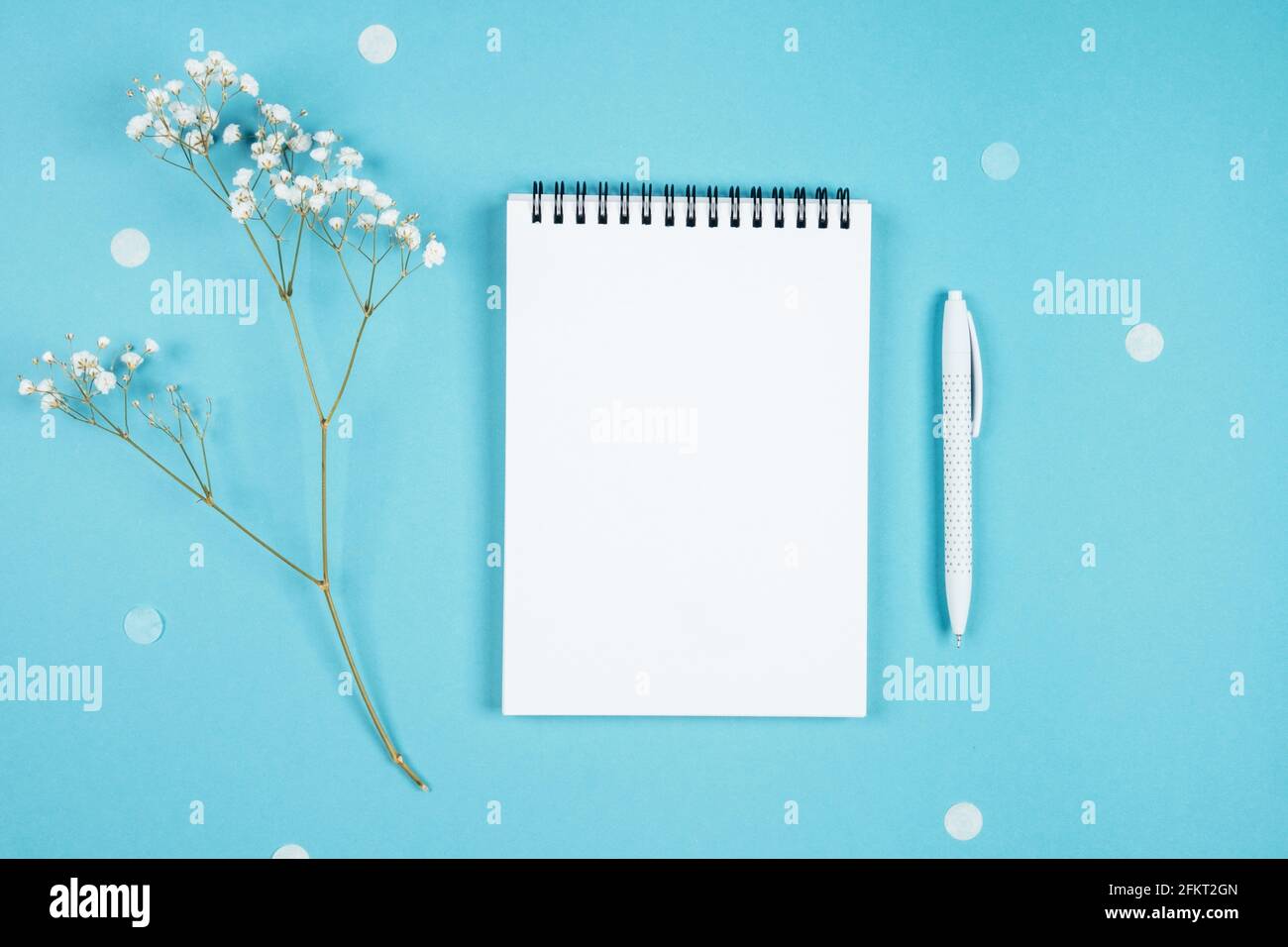 Weißes Blatt Notizbuch auf blauem Hintergrund und ein Blütenzweig Stockfoto