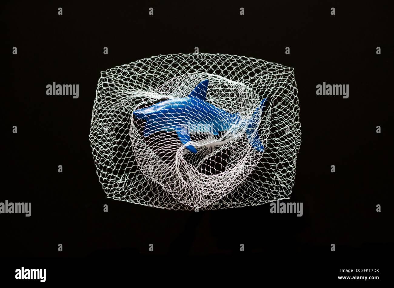Ein Haispielzeug-Modell, das in einem weißen Netz auf schwarzem Hintergrund gefangen ist. Minimales Konzept für den Weltmeere-Tag. Stockfoto