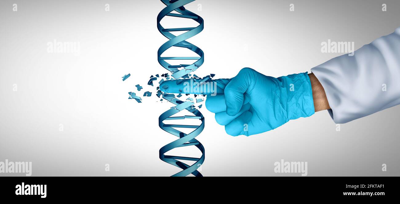 Gentechnik und DNA- oder Gentherapie als CRISPR-Biotechnologiekonzept mit einem doppelten Helix-Strang als Symbol für Genom oder Chromosom. Stockfoto