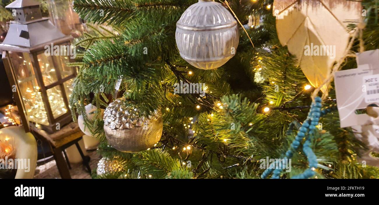 Die "moderne" Weihnachtsbaumtradition soll aus dem Deutschland des 16. Jahrhunderts stammen, wo kleine immergrüne Bäume mit dem geschmückt wurden Stockfoto