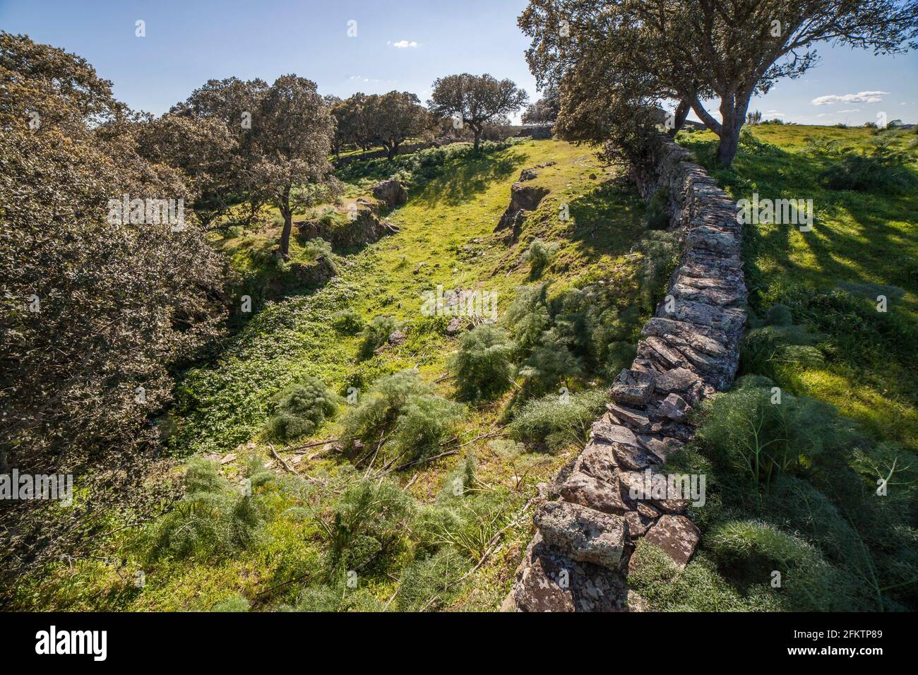 Archäologische Stätte von Tamusia, Botija, Caceres, Extremadura. Graben Westhispano-keltische Bergfestung der Vettonier. Stockfoto