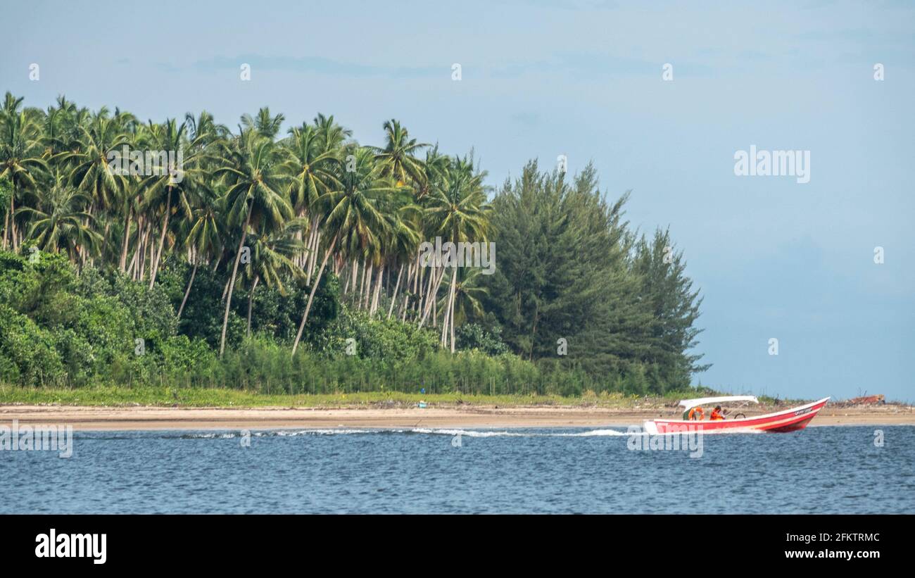 Kreuzfahrt entlang des Sibu Laut-Telaga Air Flussufers, Matang, Sarawak, Malaysia Stockfoto