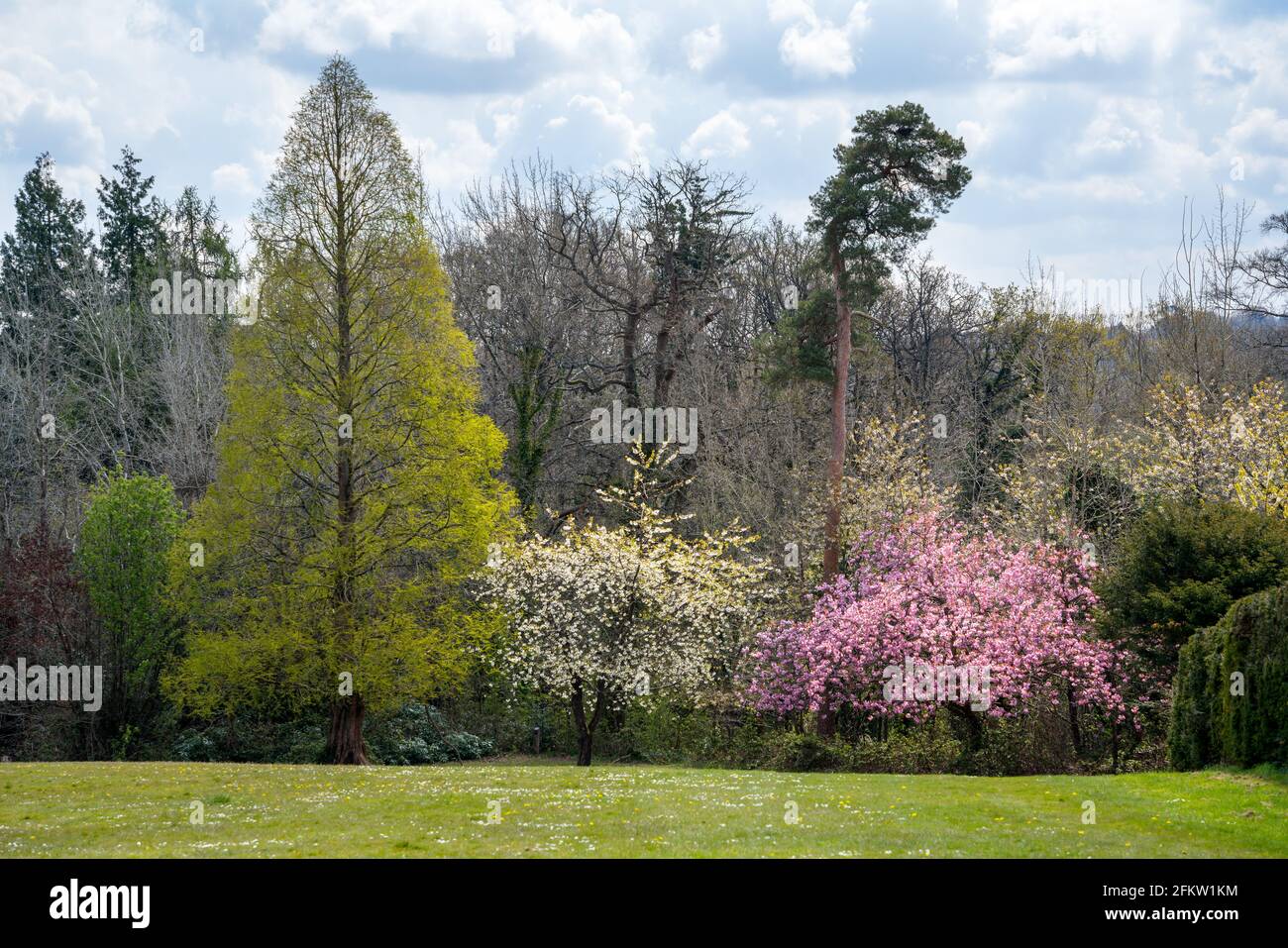 Landschaftlich schöner Blick auf einen Parkgarten in East Grinstead mit Verschiedene Bäume blühen an einem sonnigen Frühlingstag Stockfoto