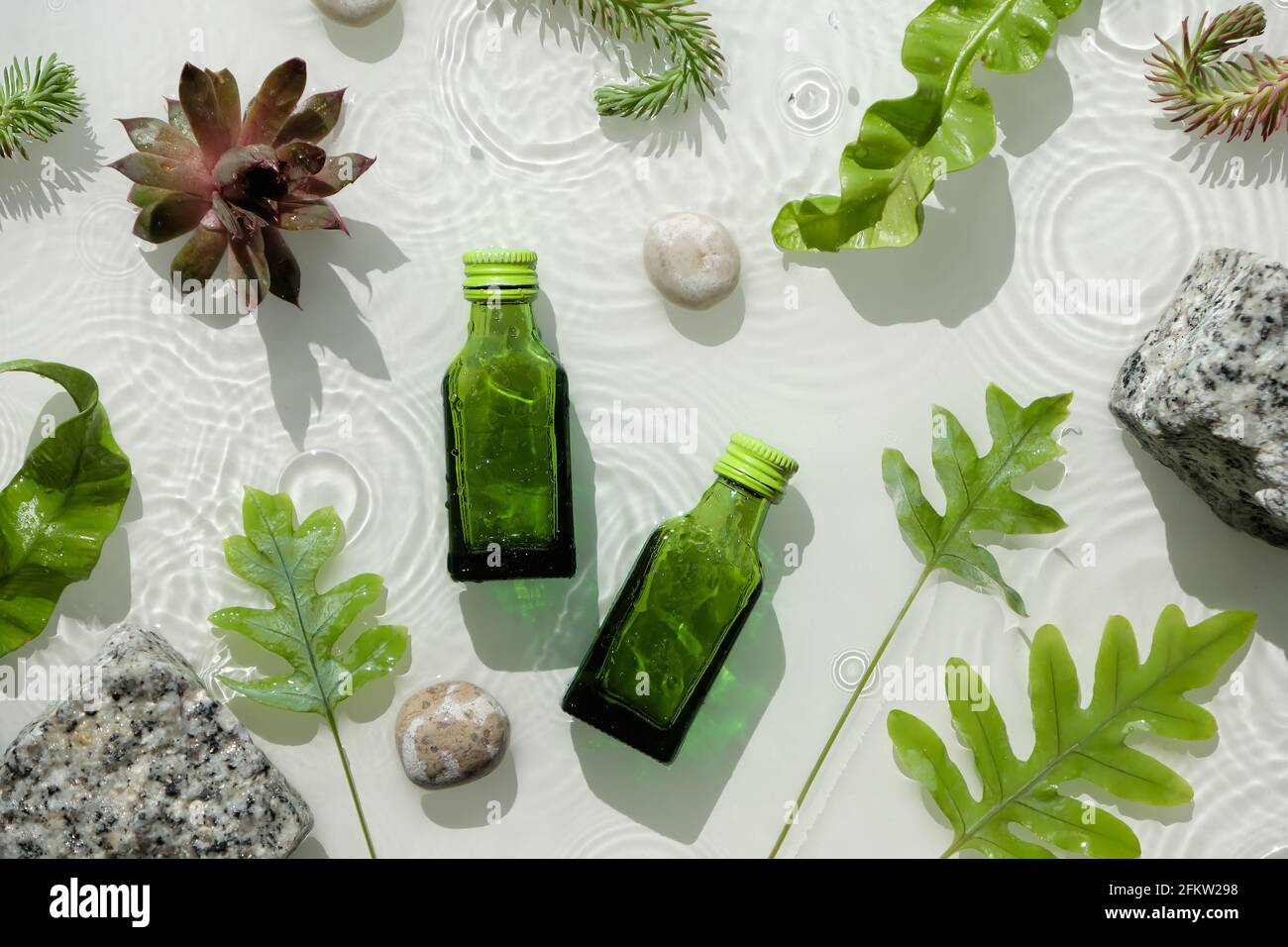 Wasser Hintergrund, kosmetische Hautpflege Feuchtigkeitscreme in grünen Flaschen. Dunkle Glasflaschen. Wasseroberfläche, Spritzer, Ringe, Granitsteine. Exotische Blätter Stockfoto