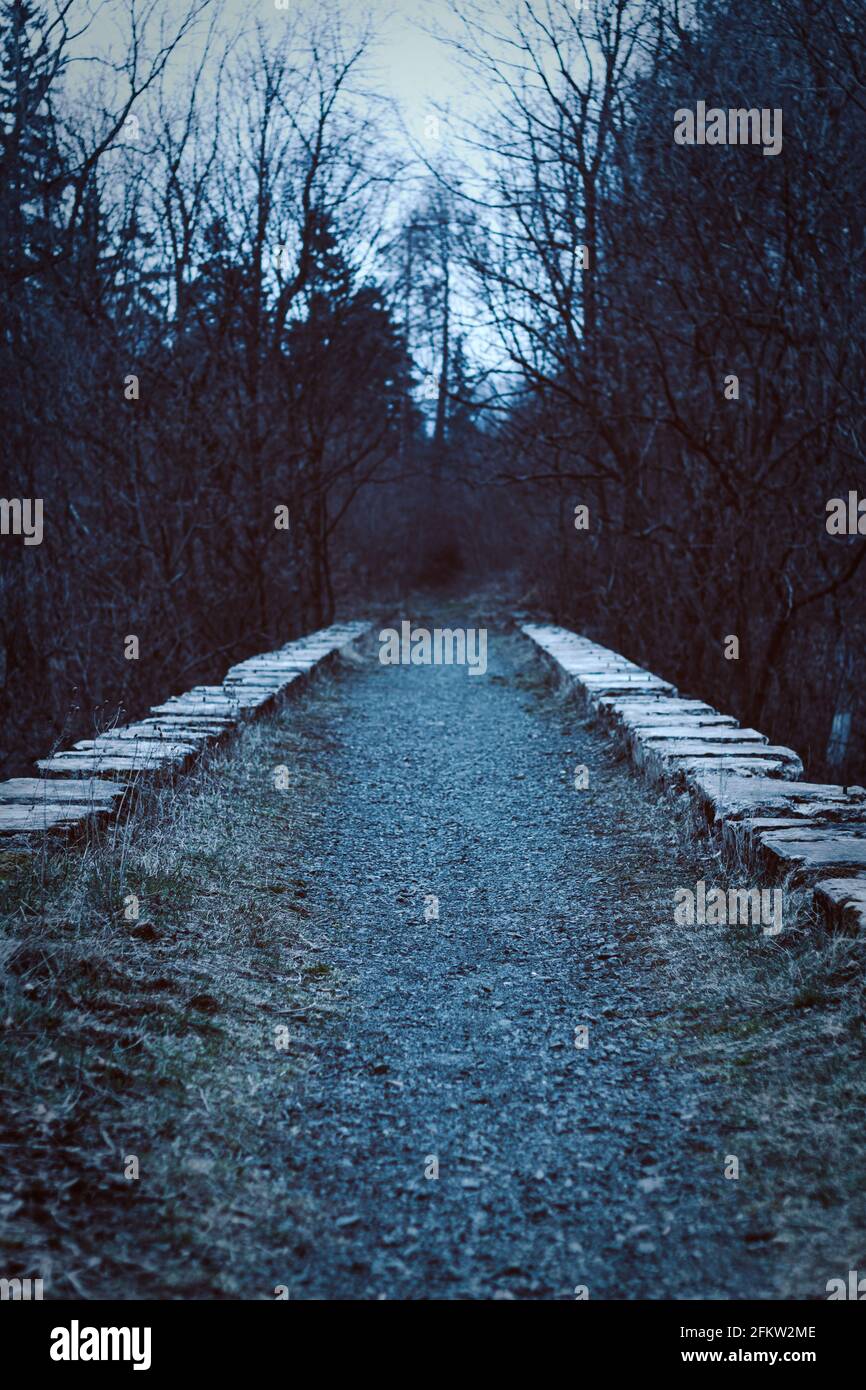 Verlassene Steinbahnbrücke in einem Bergwald Stockfoto