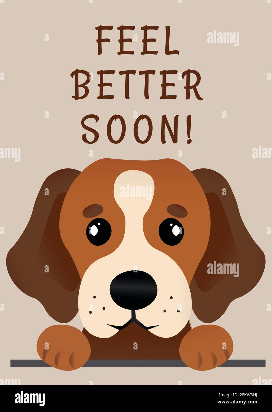 Komposition von Feel Better Soon Botschaft und braunem Hundeportrait Auf  beigefarbenem Hintergrund Stockfotografie - Alamy