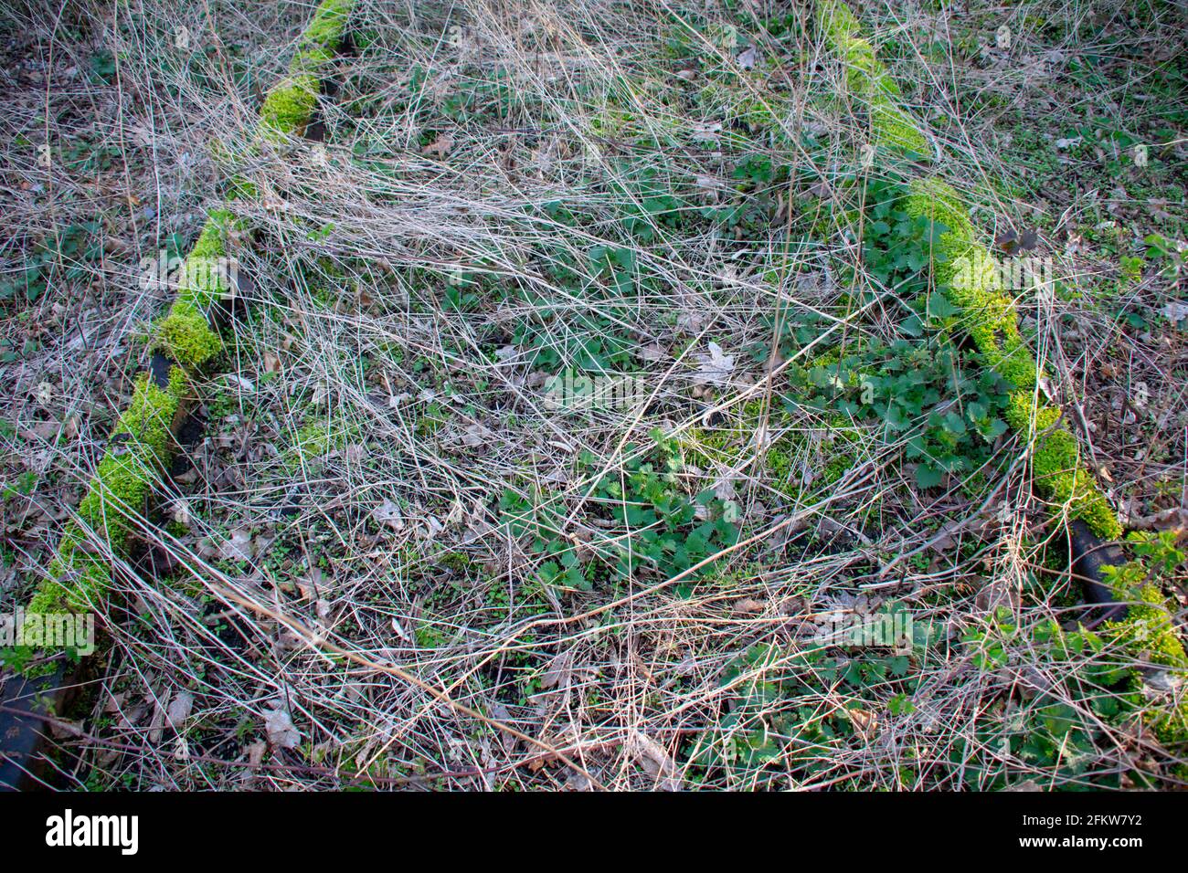 Landschaft im Naturpark Schoneberger Sudgelande in Schoneberg Berlin Stockfoto