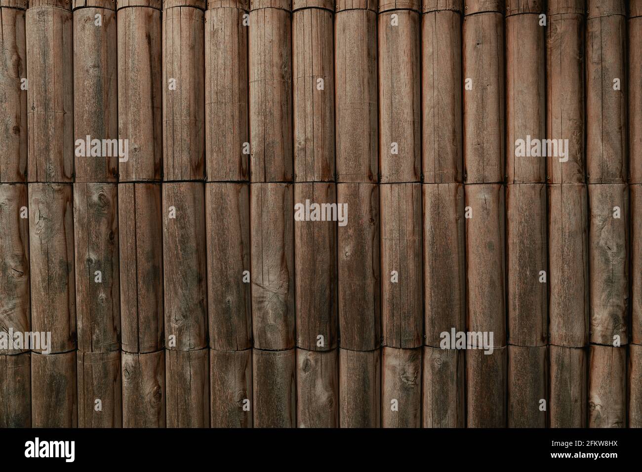 Runde Holzwand als Hintergrund, rustikales Holzmuster Stockfoto