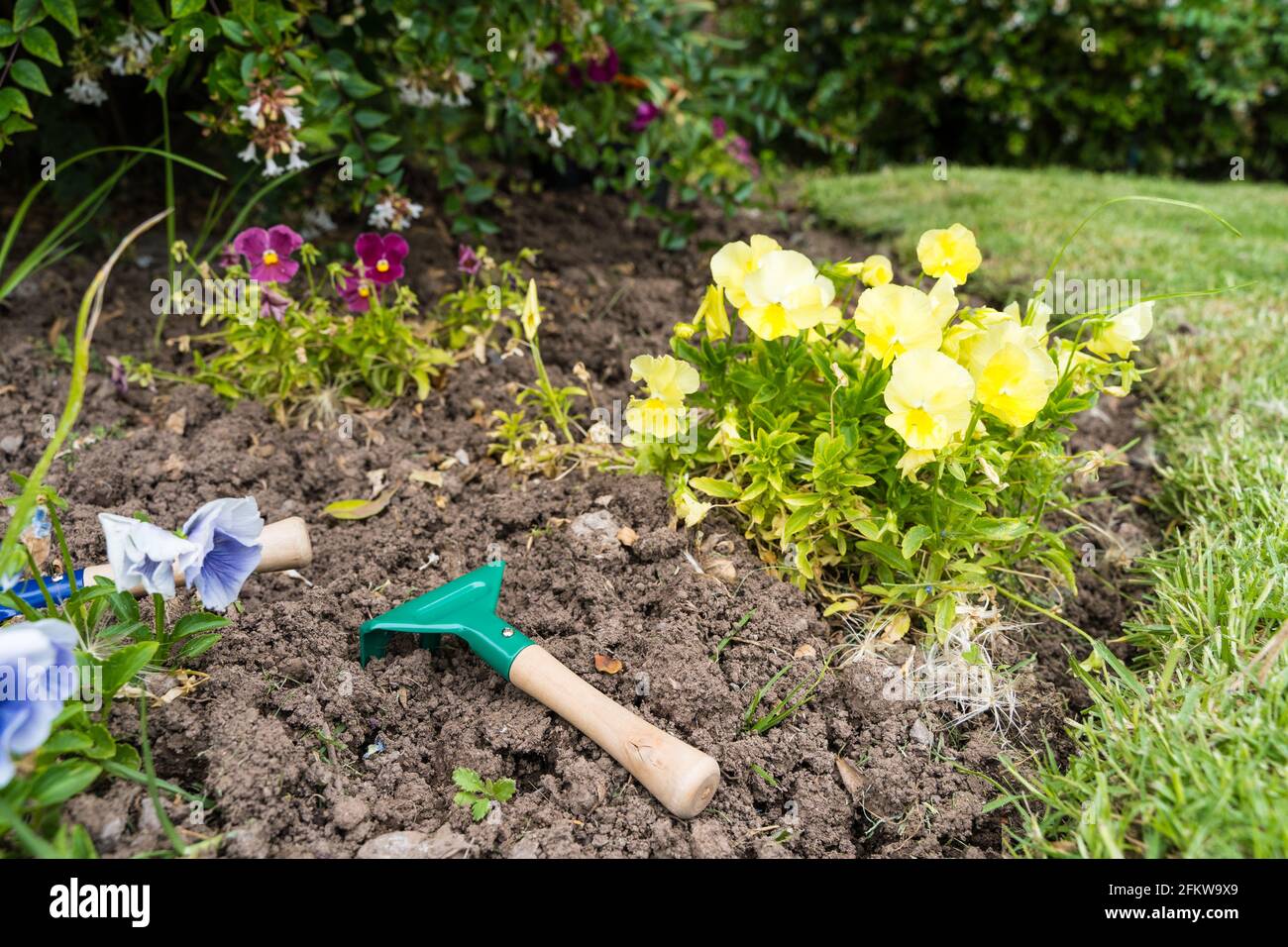 Bunte Blumen und Werkzeuge auf kleinem Gartenboden. Konzept für die Hinterhofwartung Stockfoto