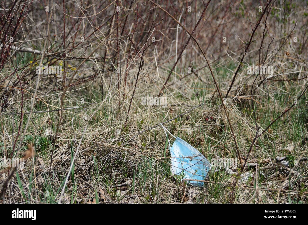 Eine gebrauchte medizinische Maske, die auf einem Gehweg ins Gras geworfen wird. Selektiver Fokus. Stockfoto