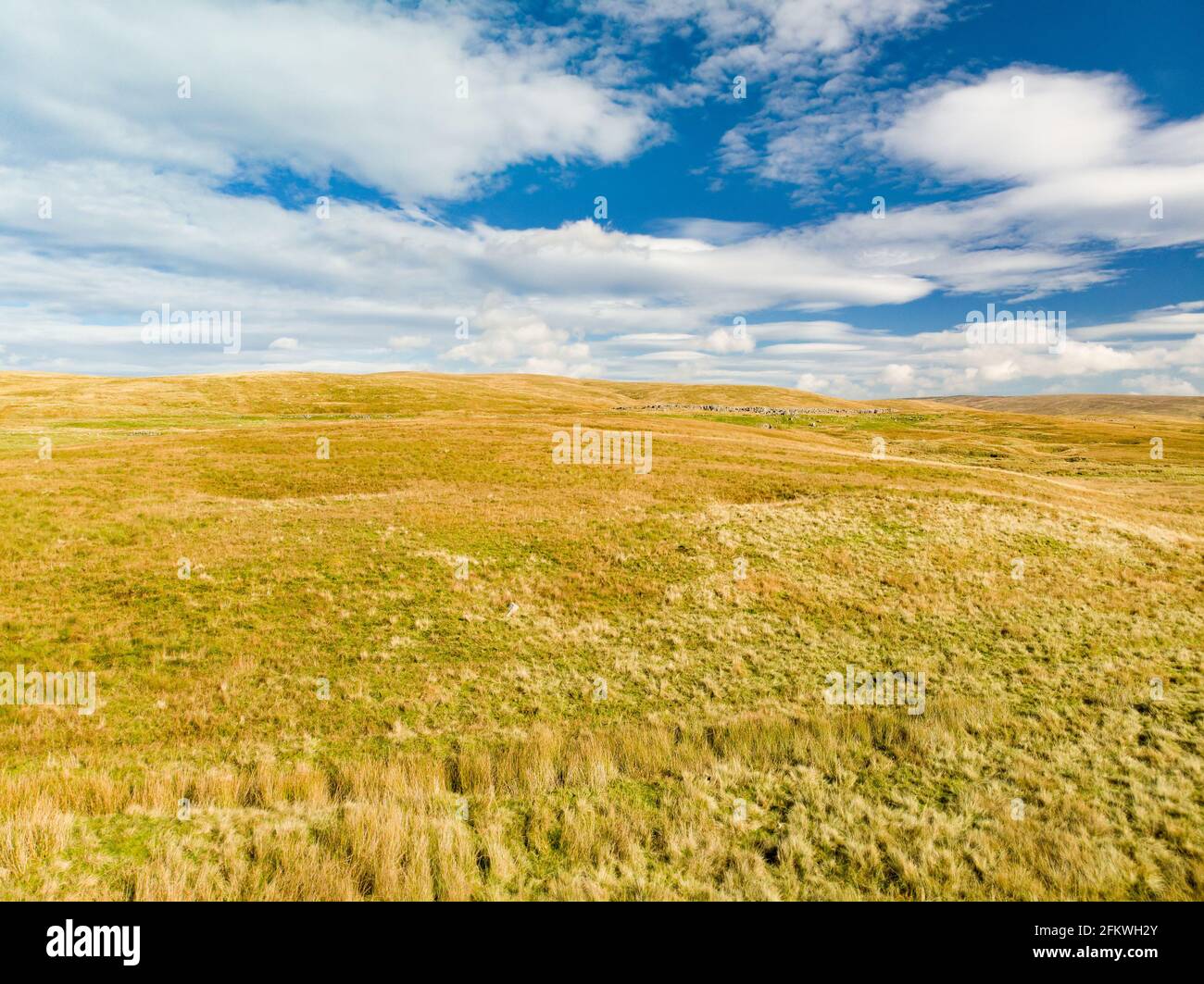 Luftaufnahme von gelben Feldern mit trockenem Gras im Yorkshire Dales National Park in Nordengland, Großbritannien. Stockfoto