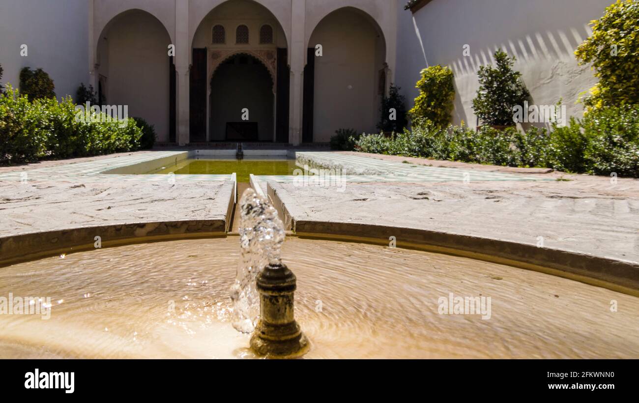 Gärten der alten Nasriden-Zitadelle von Malaga, Andalusien Stockfoto