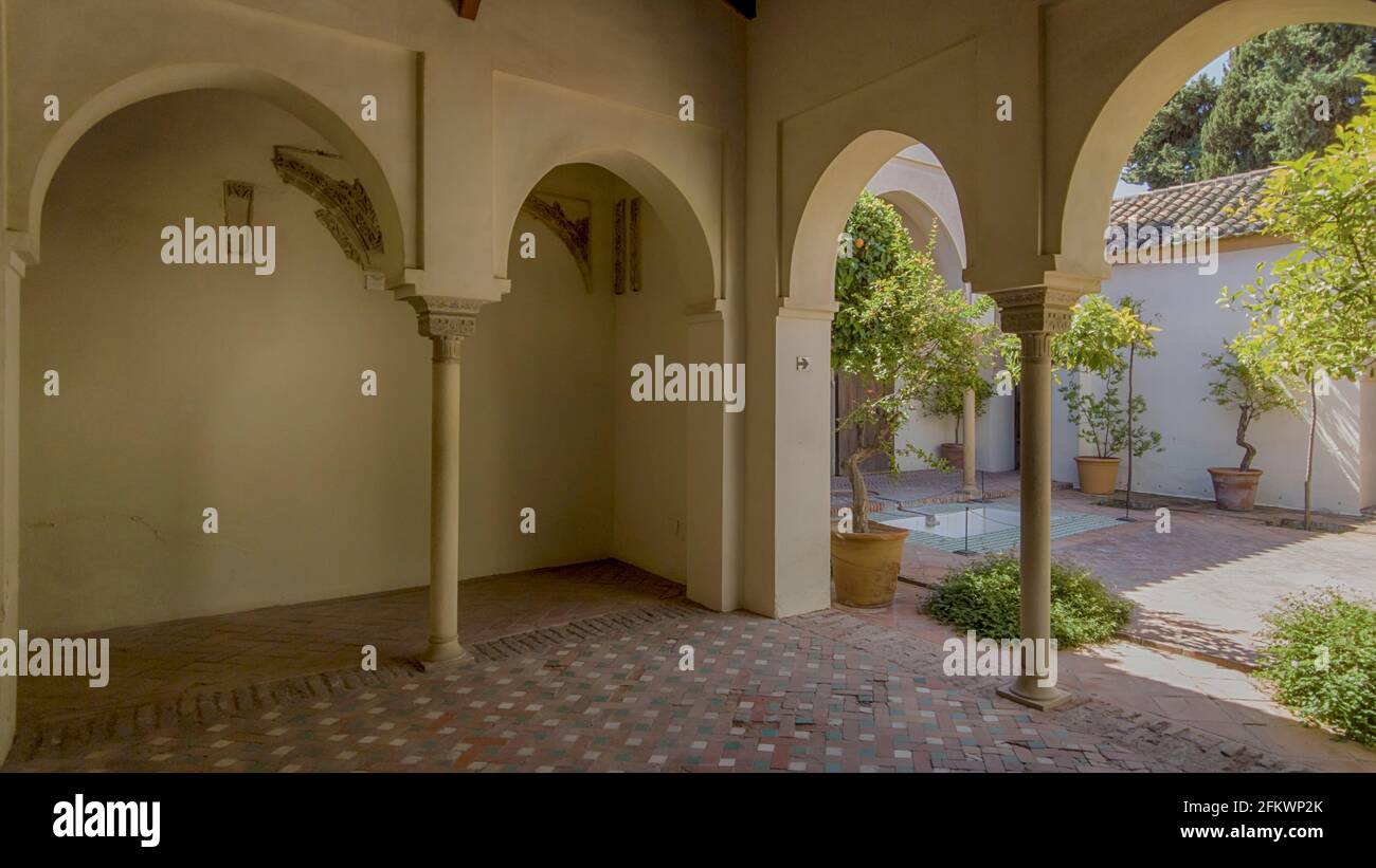 Gärten der alten Nasriden-Zitadelle von Malaga, Andalusien Stockfoto