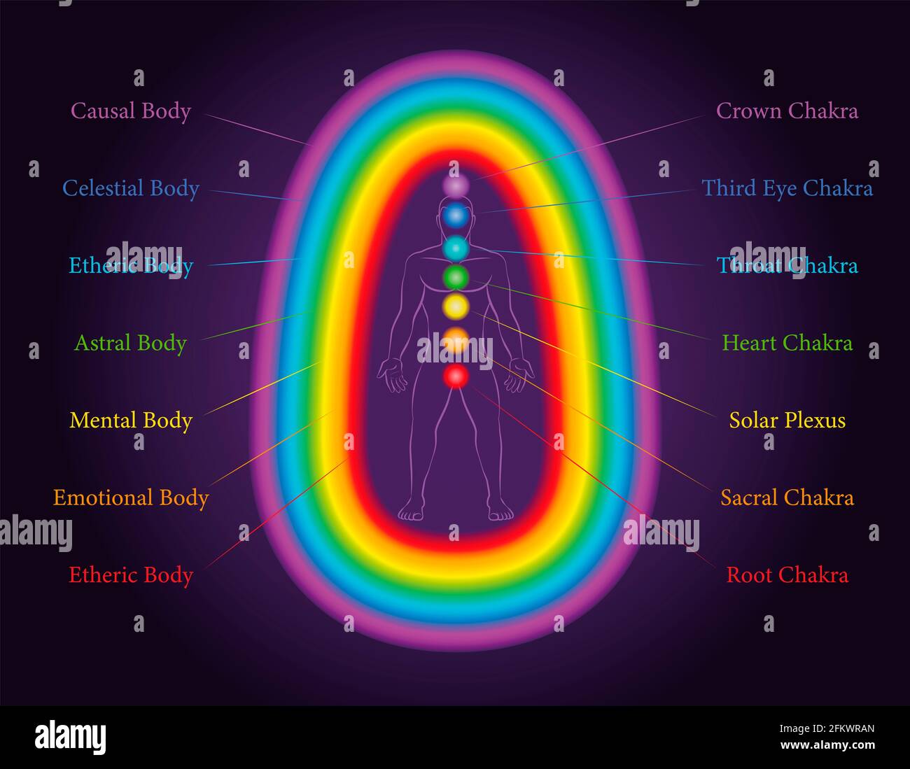 Aura-Körper. Die sieben Schichten eines meditierenden Mannes mit verwandten Chakren in den gleichen Farben. Ätherisch, emotional, mental, astral, himmlisch, Kausalschicht. Stockfoto