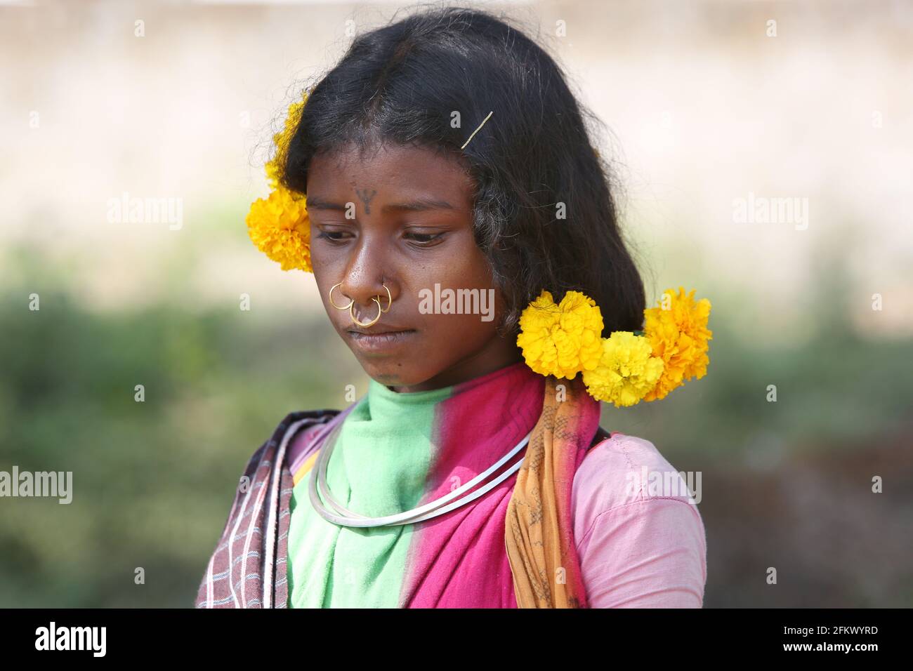 Tribal Mädchen mit traditionellen Frisur mit bunten Blumen. DESIA KONDHA STAMM. Dieses Bild wurde bei Lanjigadh Dorf von Odisha, Indien angeklickt. Fac Stockfoto
