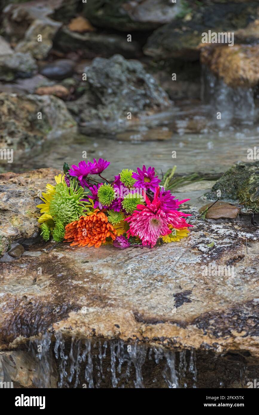 Strauß von schönen und bunten Blumen in einem Bachbett. Stockfoto