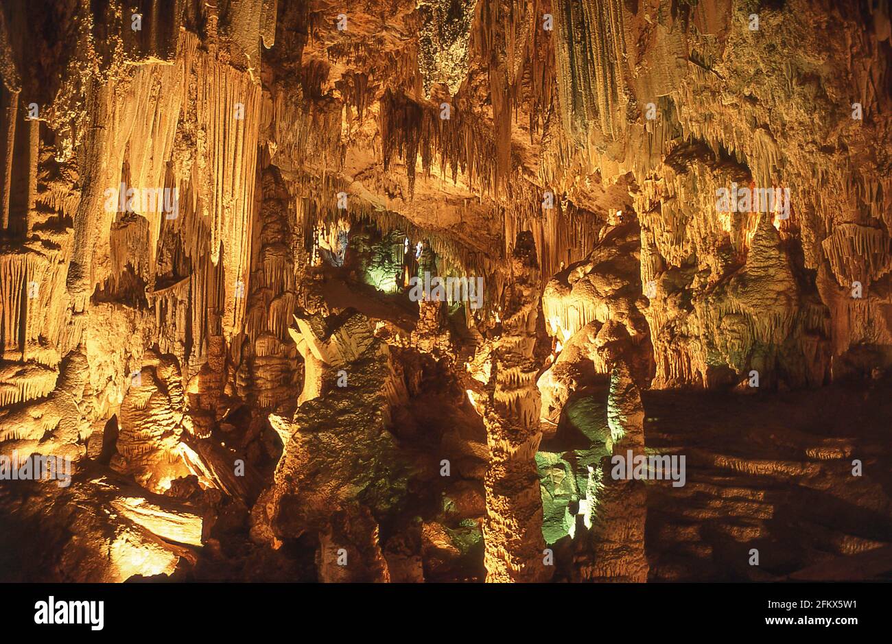 Innere Passage, Höhle Postojna, Postojna, Gemeinde Postojna, Slowenien Stockfoto