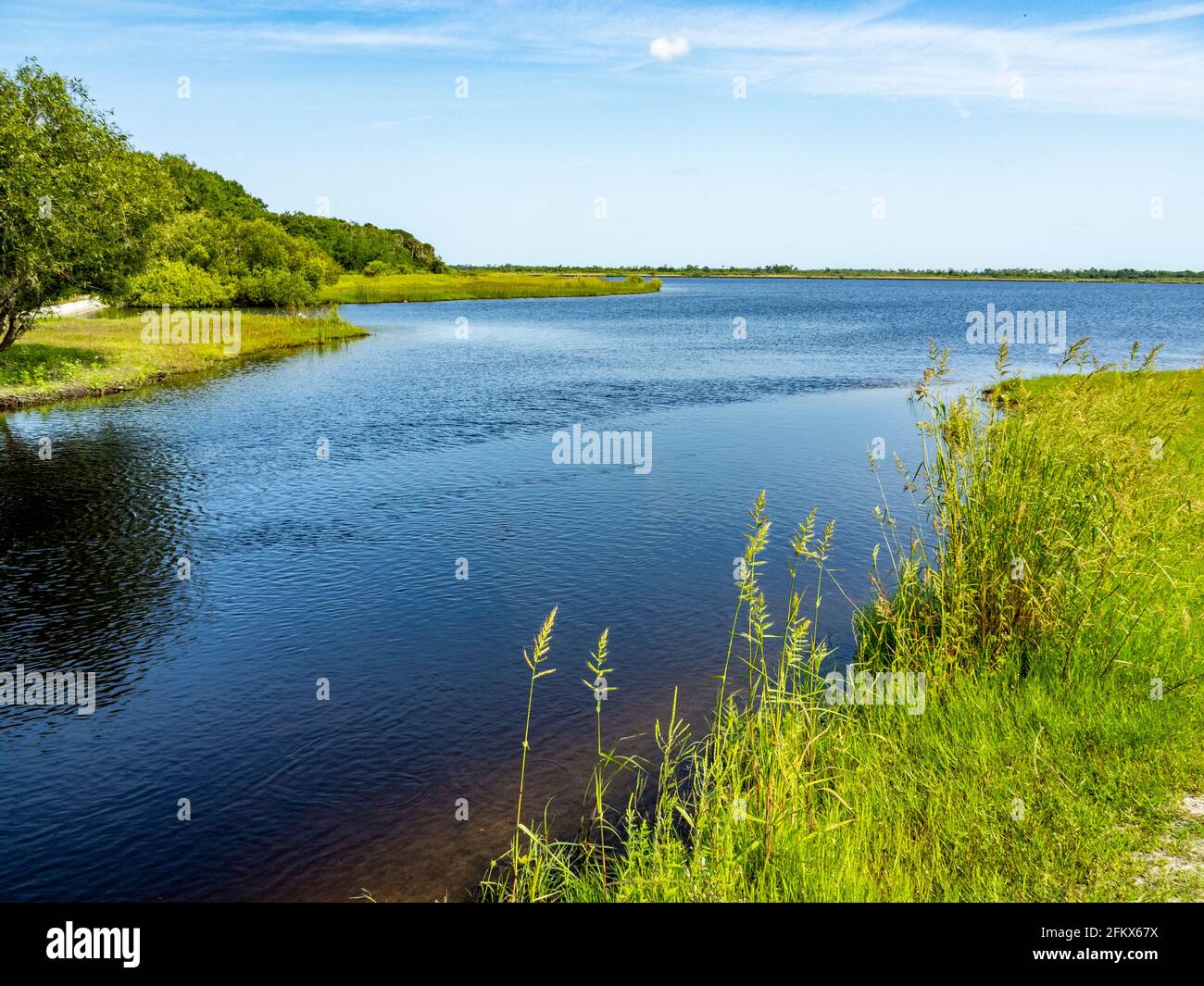 Myakka River im Myakka River State Park in der Stadt USA Stockfoto