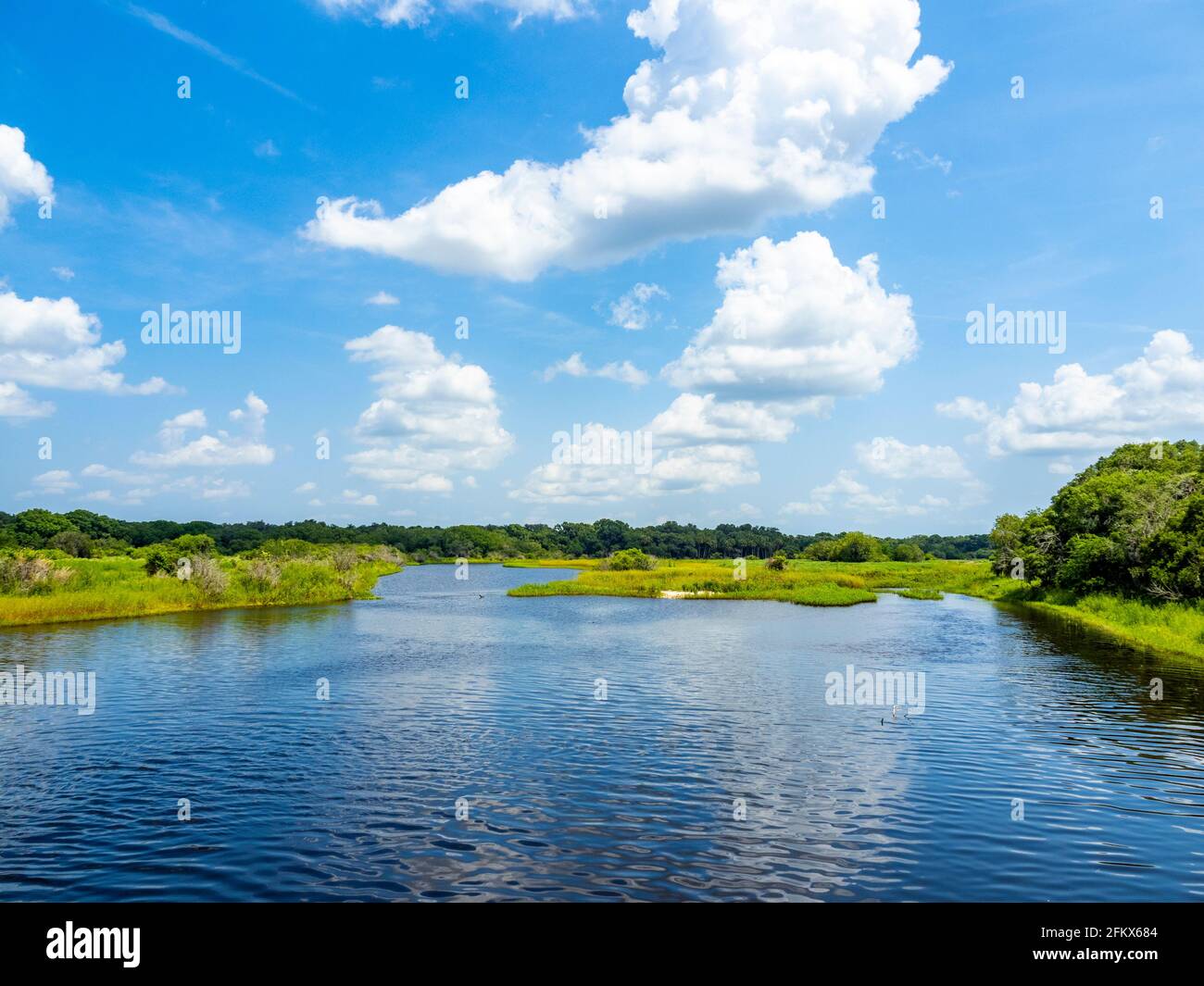 Myakka River im Myakka River State Park in der Stadt USA Stockfoto