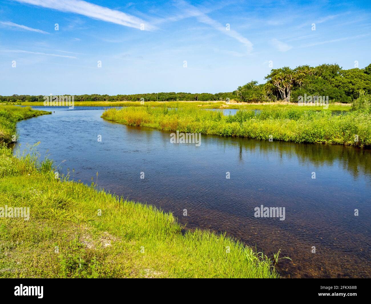 Myakka River im Myakka River State Park in der Stadt USA Stockfoto