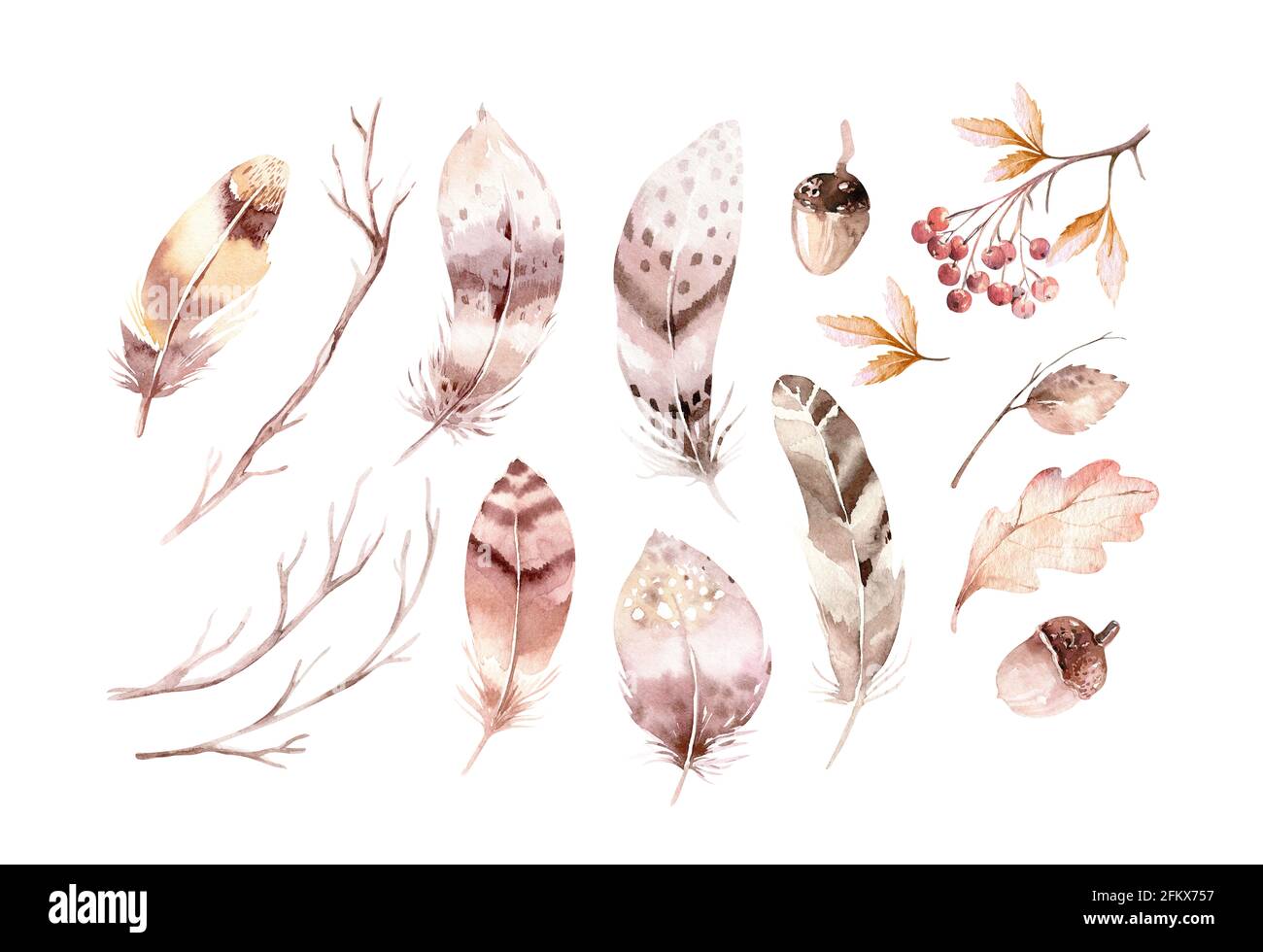 Set aus handbemalten schönen roten und gelben Herbstblättern, Federn, Eberesche, Eichel, Eichenblatt Illustration. Stockfoto