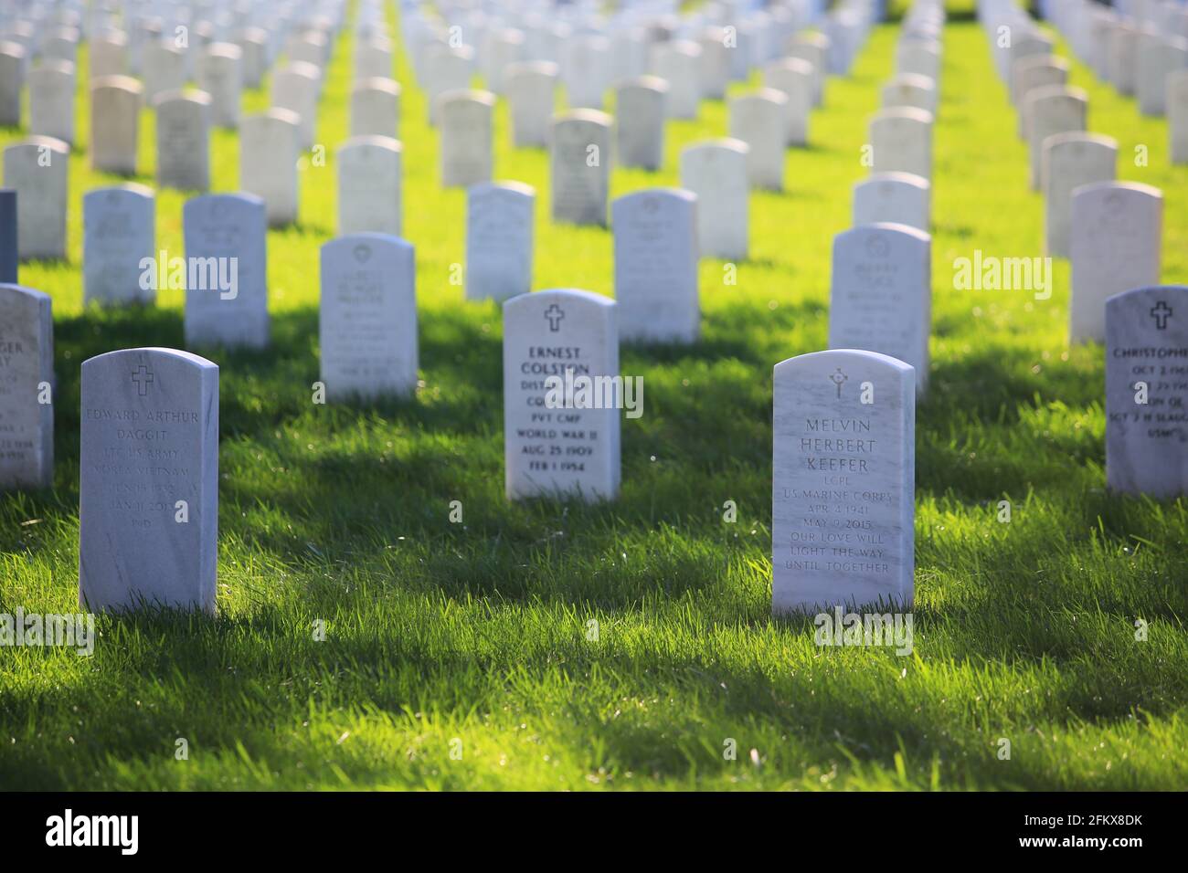 Grabsteine auf dem Arlington National Cemetery in Washington Stockfoto