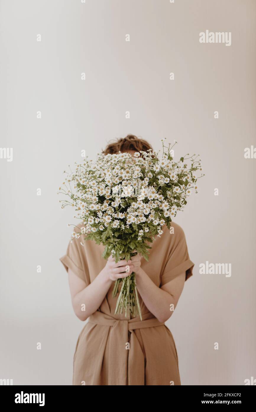 Frau versteckt sich hinter einem Haufen Gänseblümchen auf weißem Hintergrund. Stockfoto