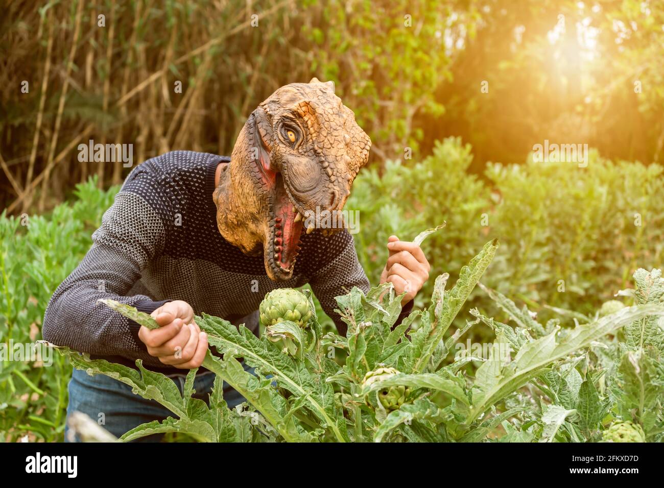 Mann mit Dinosaurier Tier Kopf Maske essen Artischocken im Gemüsegarten bei Sonnenuntergang. Stockfoto