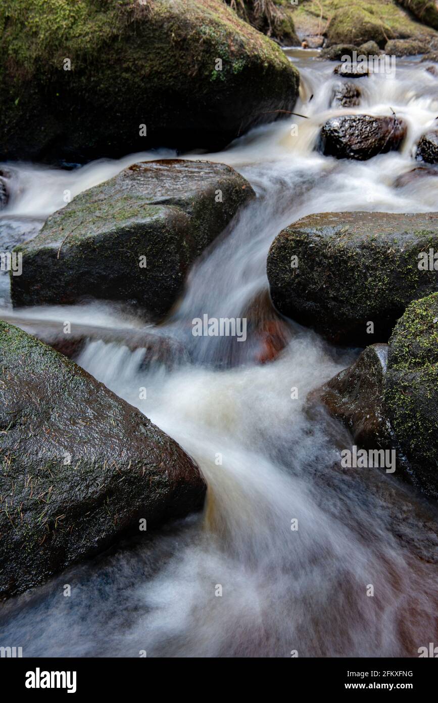 Naturschutzgebiet Wyming Brook, Nationalpark Peak District, Sheffield, South Yorkshire, England, Großbritannien Stockfoto
