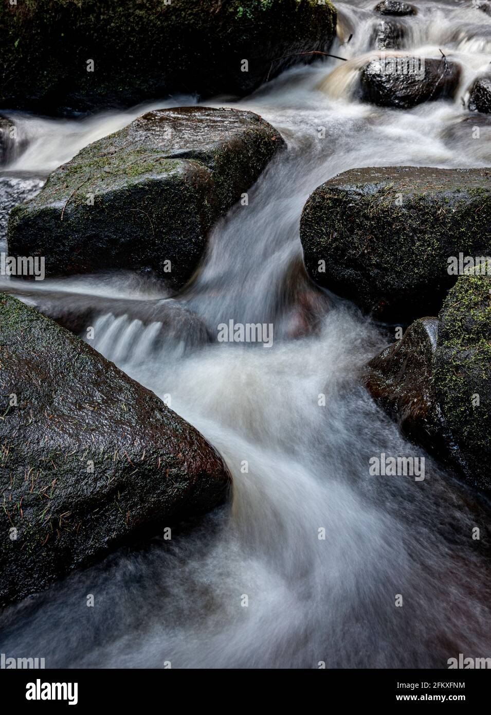 Naturschutzgebiet Wyming Brook, Nationalpark Peak District, Sheffield, South Yorkshire, England, Großbritannien Stockfoto