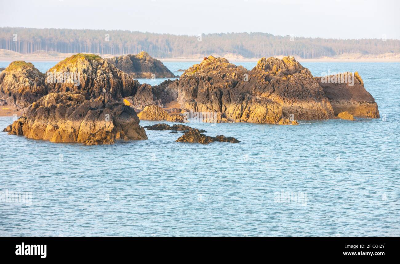 Ynys Llanddwyn,Llanddwyn, Llanddwyn Island,Anglessey,Anglesey,Ynys Mon,Insel Anglesey,Insel,Küste,Küste,Küstenweg,Isle of Anglesey Küstenweg,Nord,Wales,Walisisch,GB,Großbritannien,Großbritannien,Großbritannien,Vereinigtes Königreich,Europa.Ynys Llanddwyn ist eine kleine Gezeiteninsel vor der Westküste von Anglesey Wales (Nordwesten von Wales). Môn Die nächste Siedlung ist das Dorf Newborough.die Insel ist geologisch interessant mit Kissenlava, Jaspisformationen und äolischen Sandvorkommen. Die Insel ist Teil des National Nature Reserve of Newborough Warren.der Leuchtturm Tŵr Mawr markiert den Westen Stockfoto