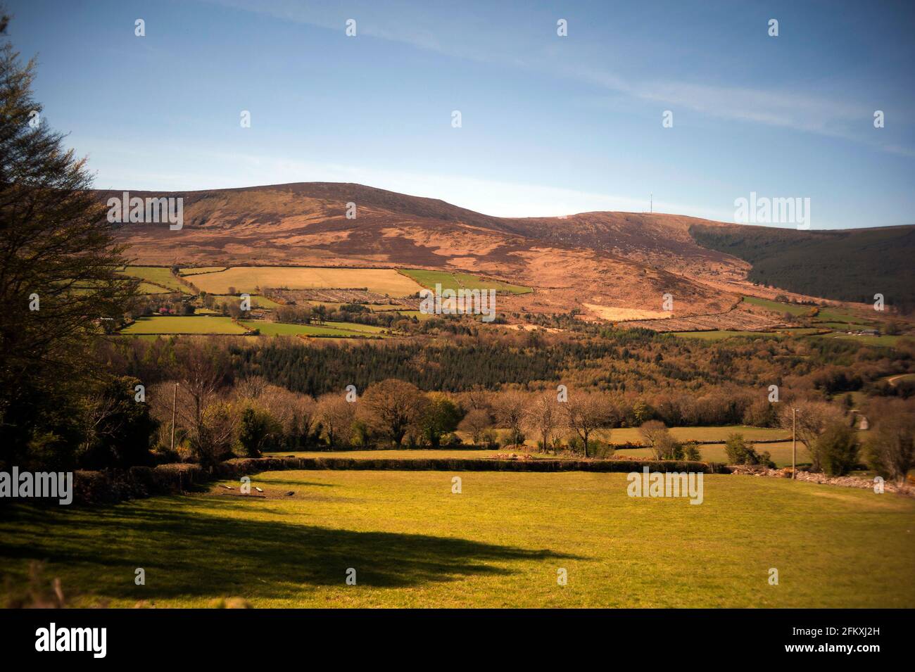 Mount Leinster, County Carlow, Irland, Europa Stockfoto