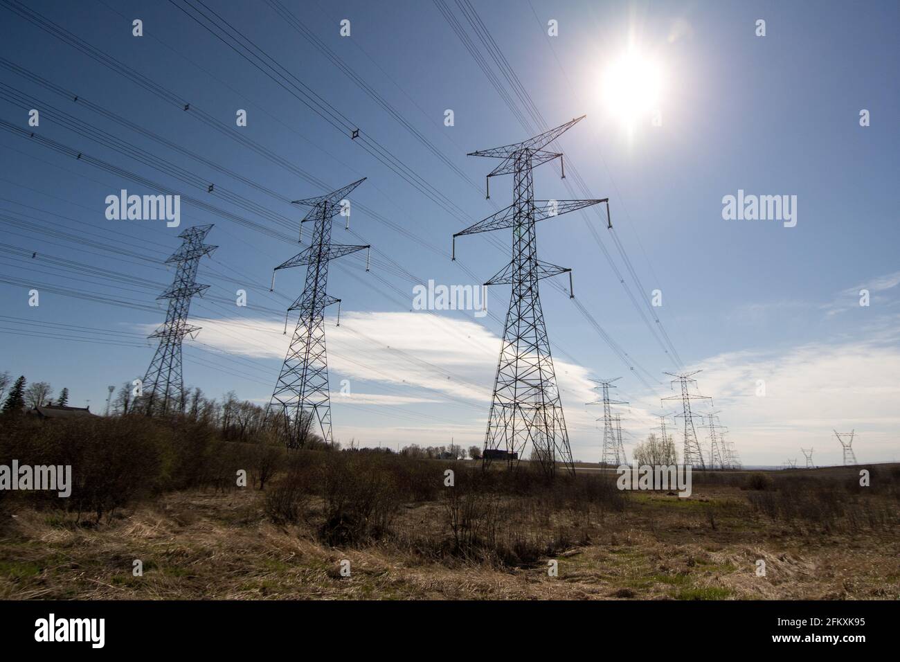 Die Sonne scheint und ein blauer Himmel bilden den Hintergrund für diese elektrischen Übertragungsleitungen. Stockfoto