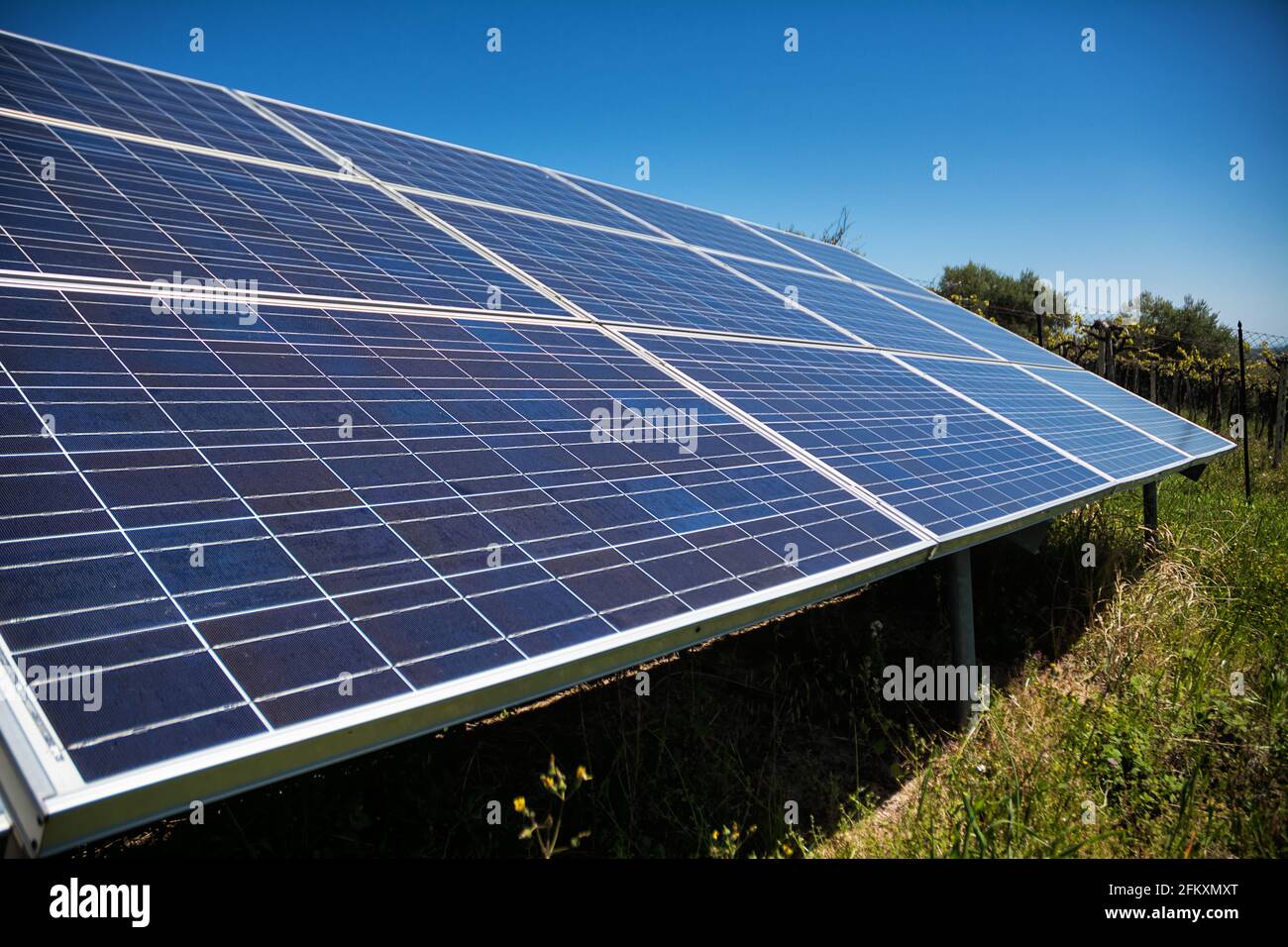 Detail des Sonnenkollektorsystems in der Natur Stockfoto
